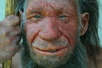 Neanderthal