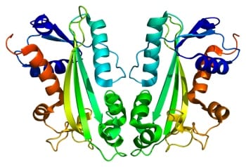 itpa Illustration of ITPA protein structure