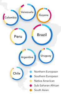 South American, Brazilian, Colombian, Venezuelan ancestry composition