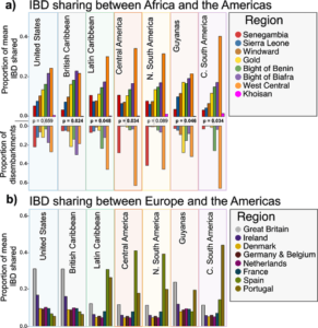 Graphs showing the mean shared Identity by Descent. 