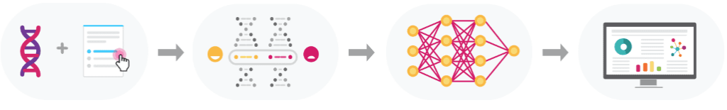 An illustration of polygenic risk score models