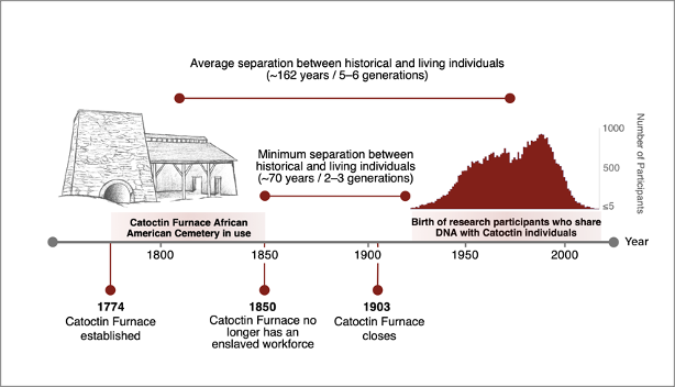 A timeline of the Catoctin Furnace from 1774 and 1903 when the furnace closed.
